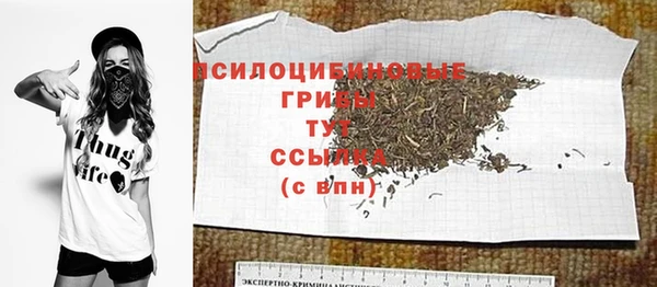ГАЛЛЮЦИНОГЕННЫЕ ГРИБЫ Михайловск