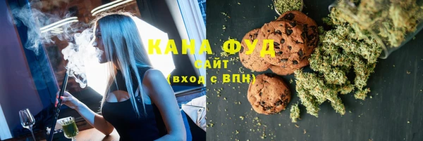 молекула духа Мегион