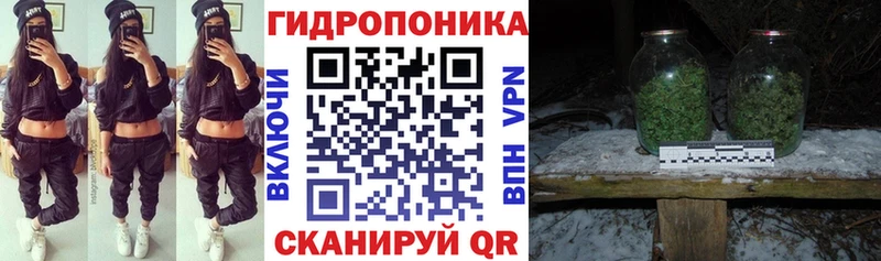 Конопля конопля  Алдан 